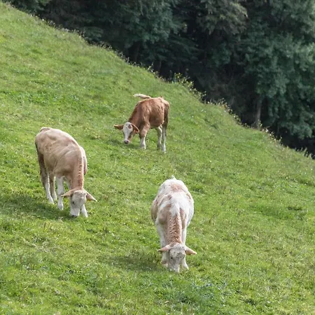 Oberrissglueck Schliersee