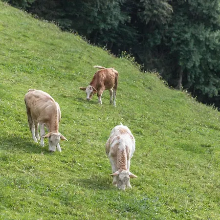 Oberrißglück