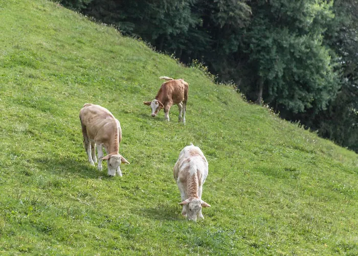 Oberrißglück
